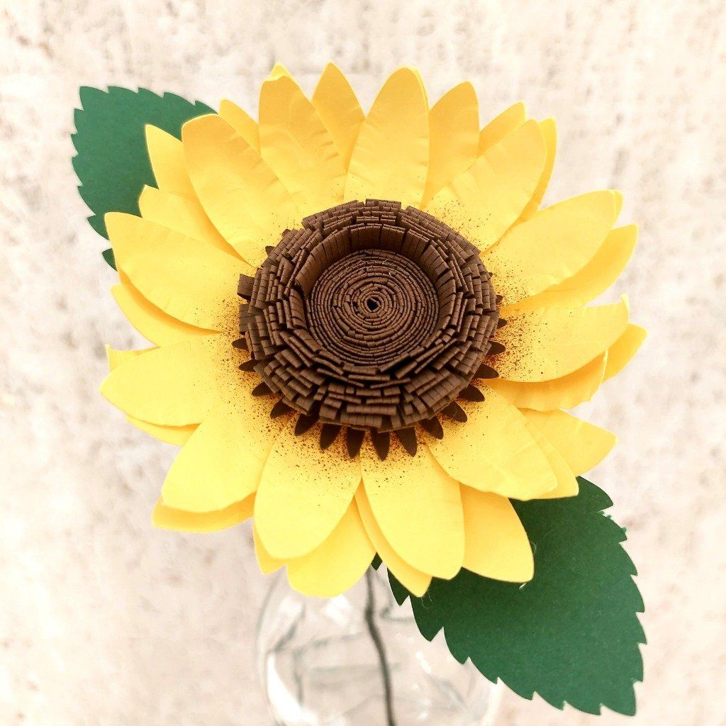 Tournesol