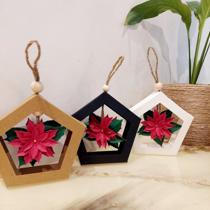Fleur de Noël