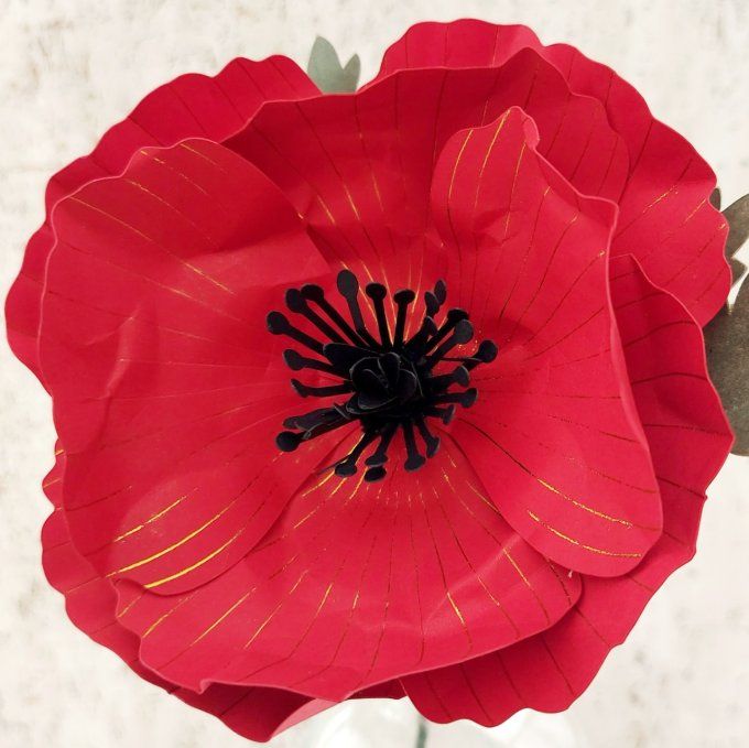 Kit DIY Coquelicot