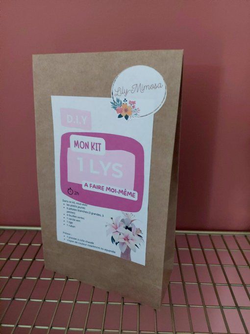 Kit DIY 1 Lys