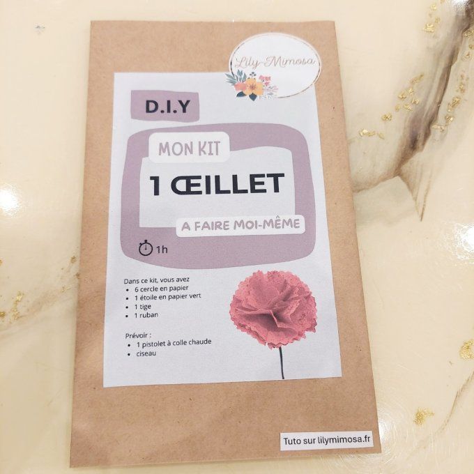 Kit 1 œillet 
