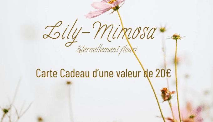 Carte cadeau - 20€