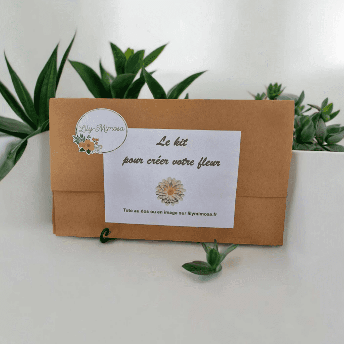 Kit DIY Dalhia