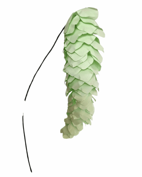 Glycine