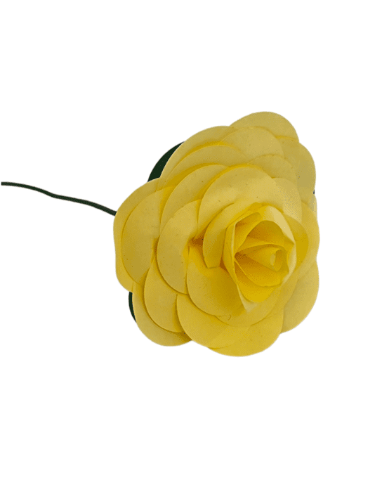 Rose jaune