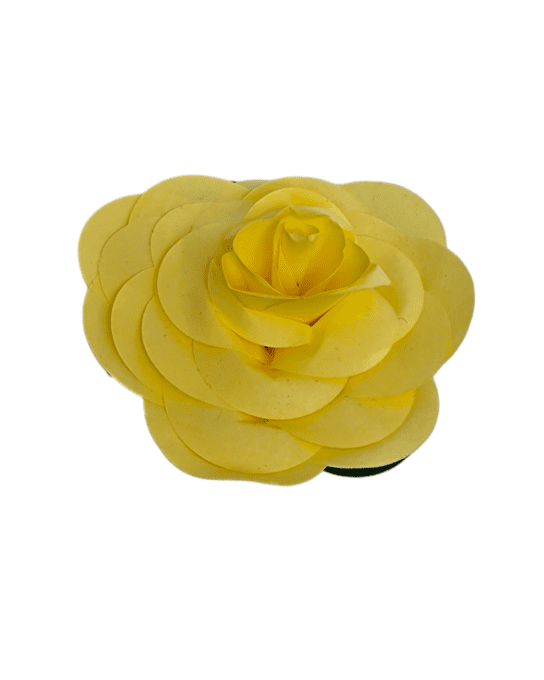 Rose jaune