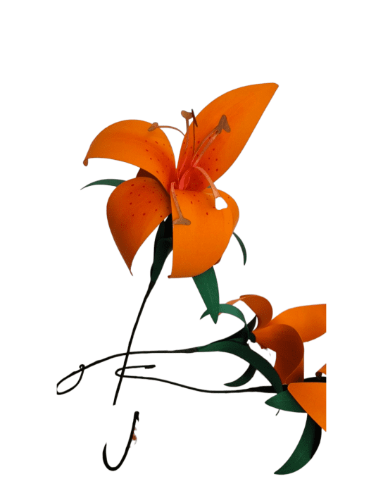 Lys orange