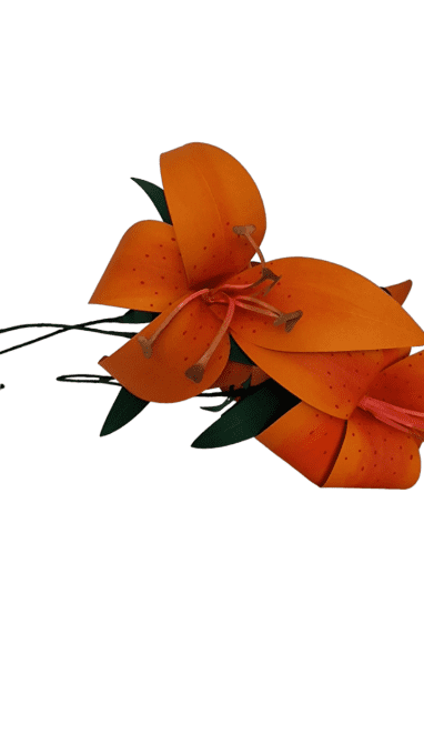 Lys orange