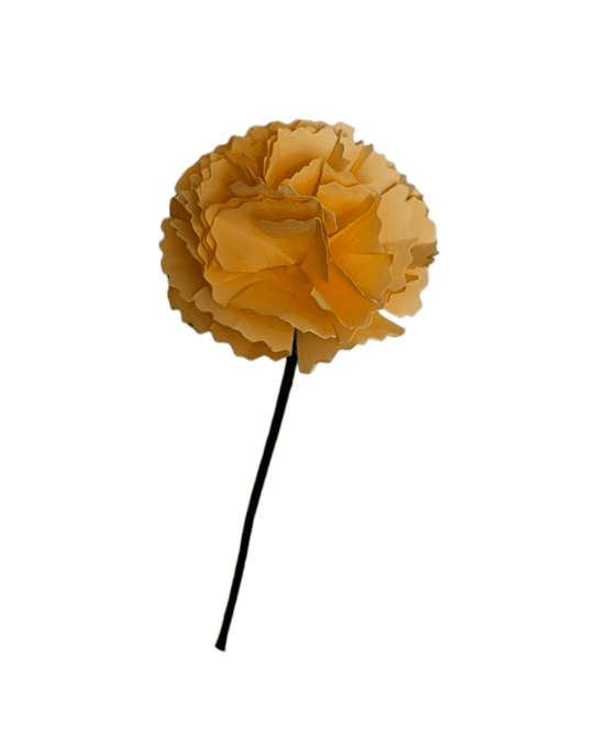 Œillet 