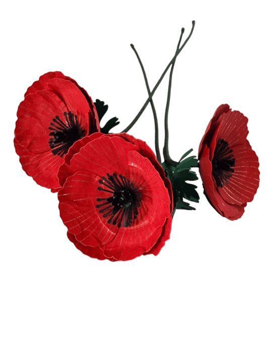 Coquelicot