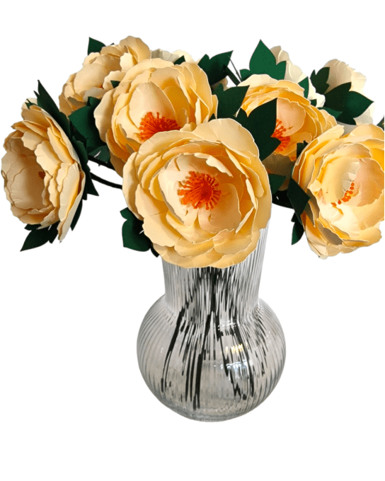 Pivoine