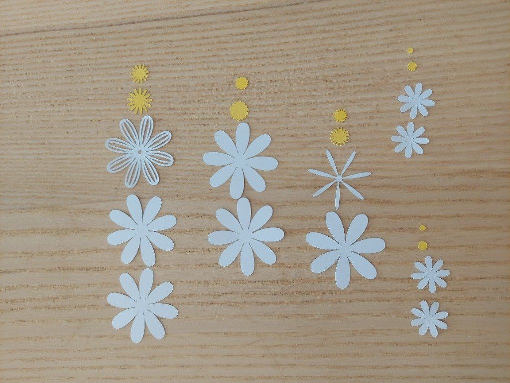 1) Trier les pétales et pistils comme sur la photo.