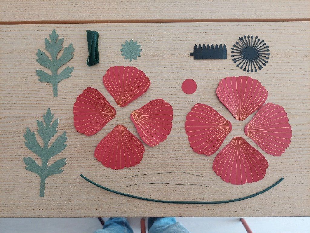 Voici de quoi est composé votre kit.